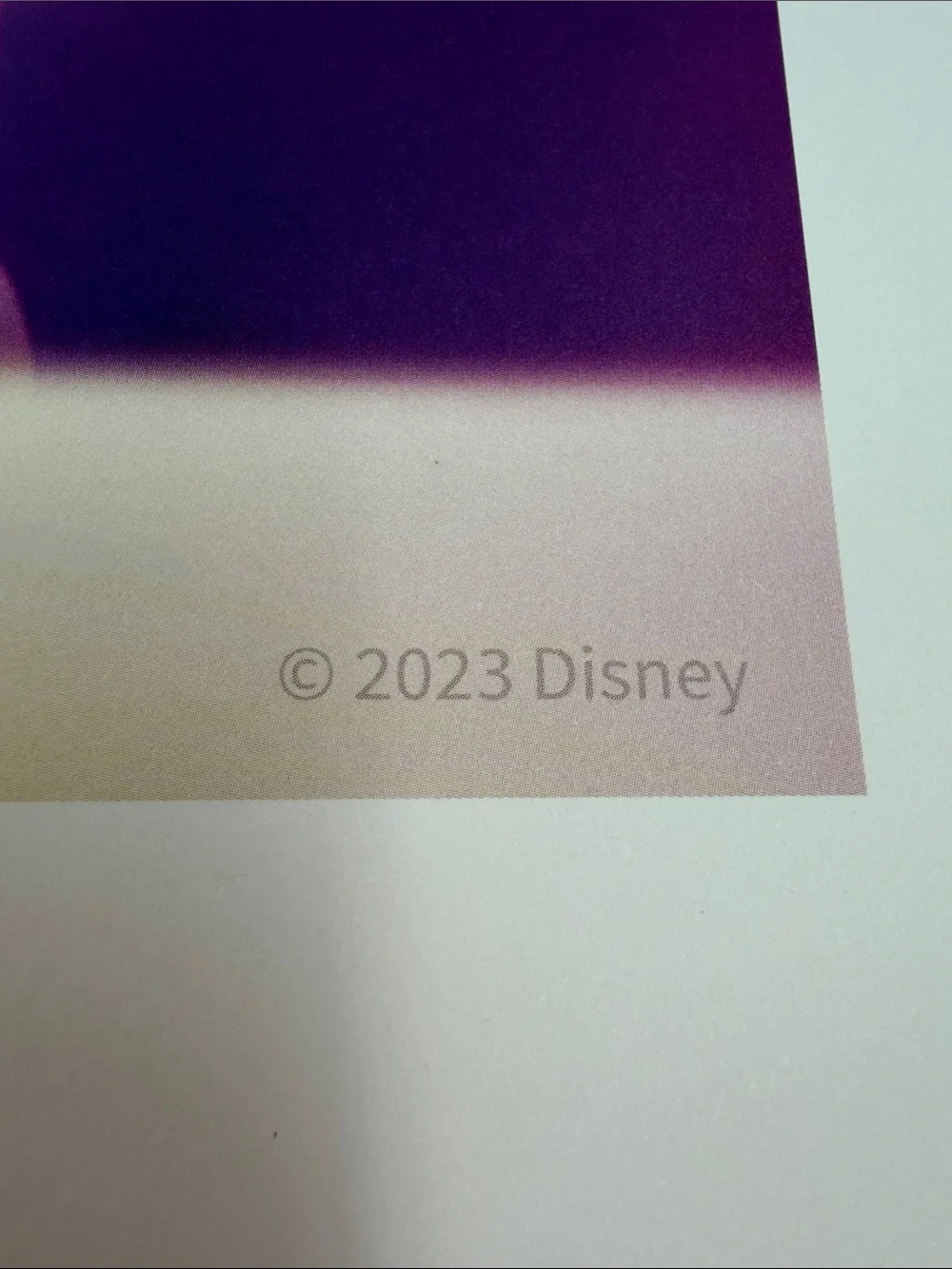 2023 Disney Animation Immersive Experience 17.5x11.25 Print VIP Package Print